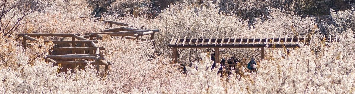 Naturschönheit in Shandong