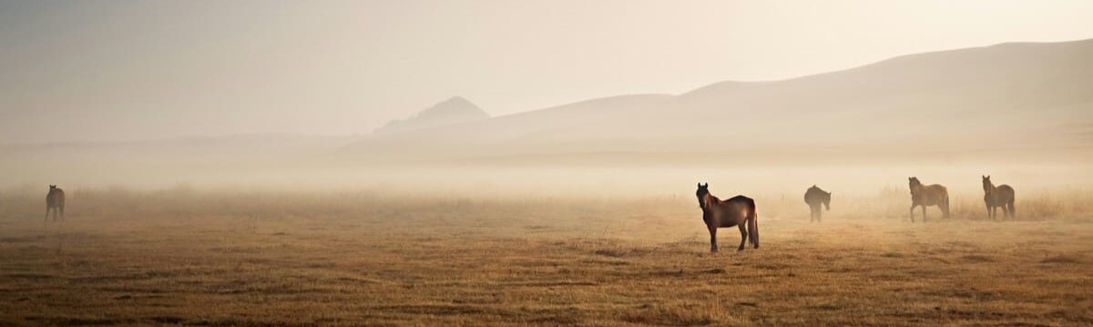 Chifeng besticht durch seine beeindruckende Landschaft