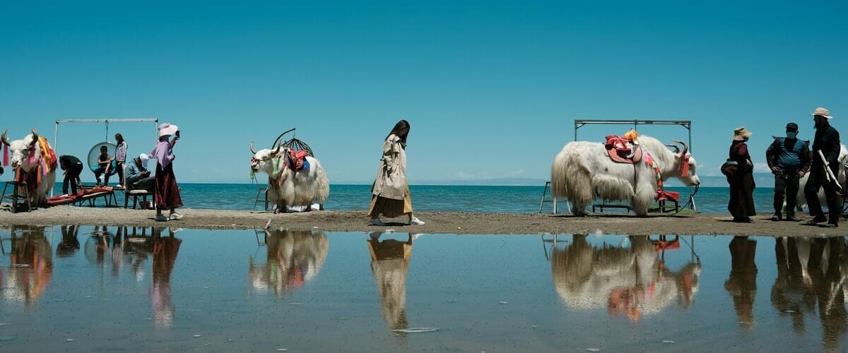 Reges treiben am Qinghai Lake, China